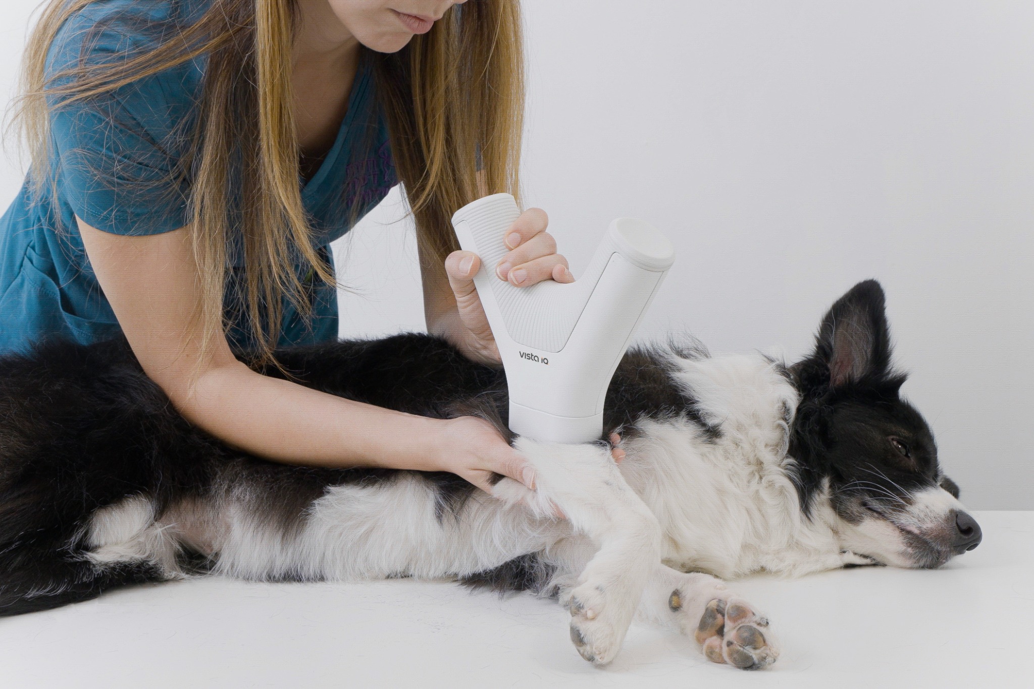 A veterinary professional using the VISTA iQ scanner to examine a lump on a dog